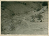fotos_50_aniversario_ce_callosa_28