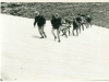 fotos_50_aniversario_ce_callosa_59